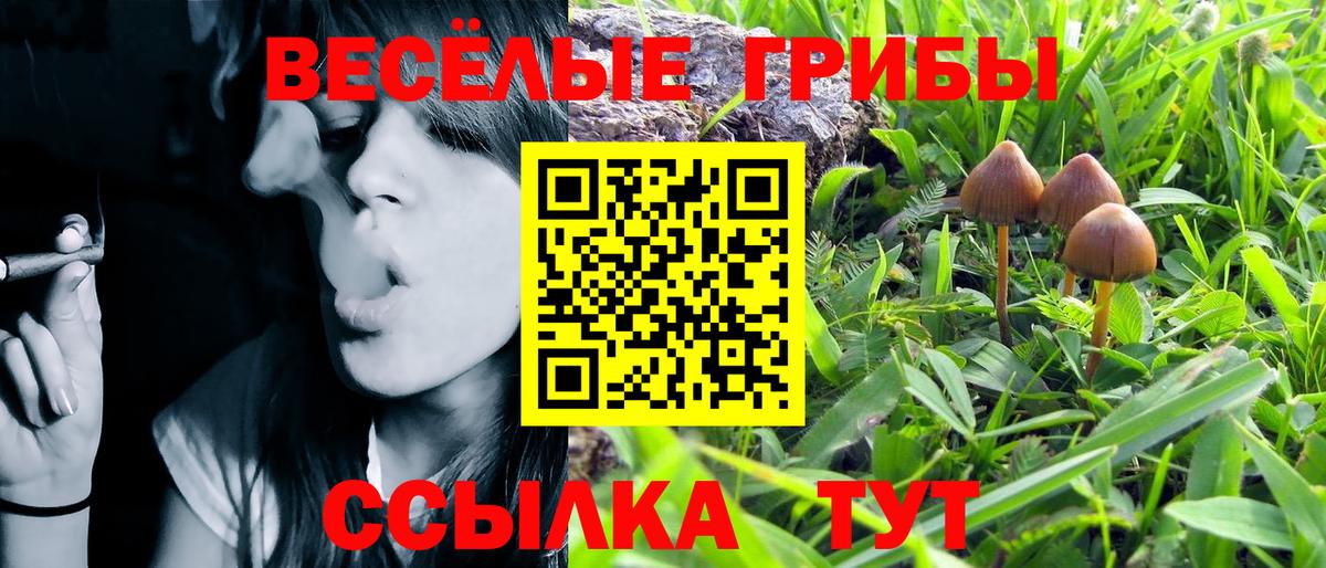 Псилоцибиновые грибы GOLDEN TEACHER  Галлюциногенные грибы мицелий  Партизанск  Вход с VPN 